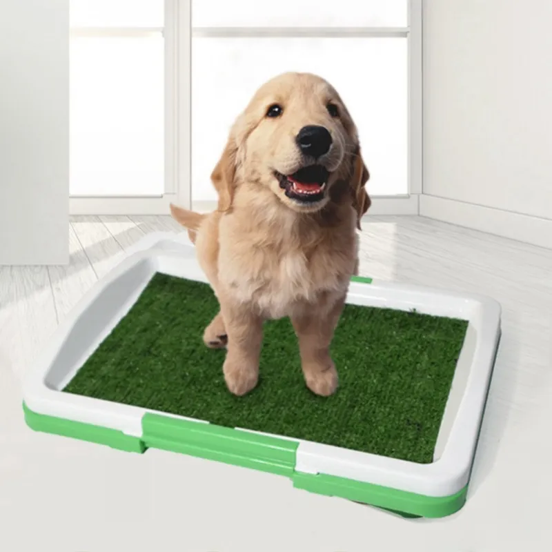 Potty pad